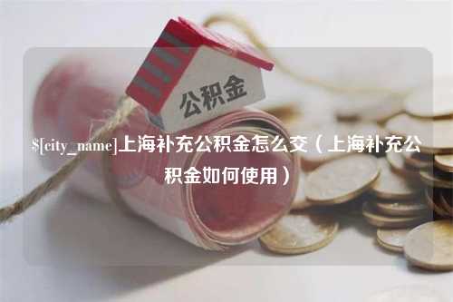 漳州上海补充公积金怎么交（上海补充公积金如何使用）